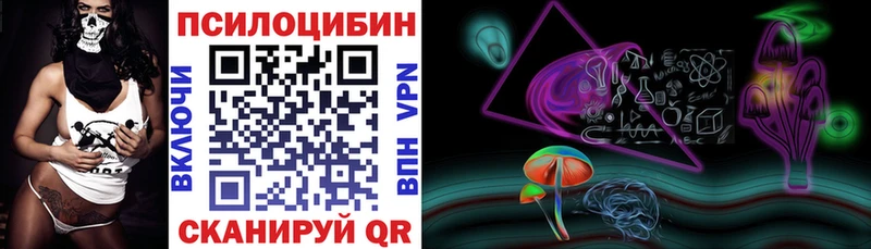 Псилоцибиновые грибы мицелий  MEGA онион  Райчихинск 