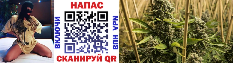 сколько стоит Райчихинск Конопля тримм